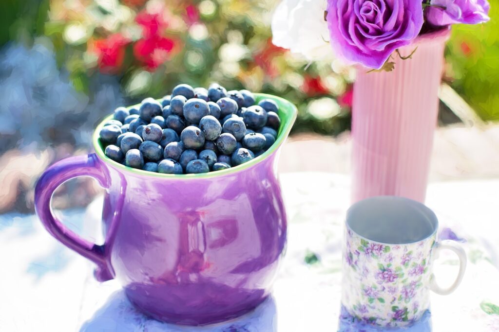 blueberries-g5b3accada_1920